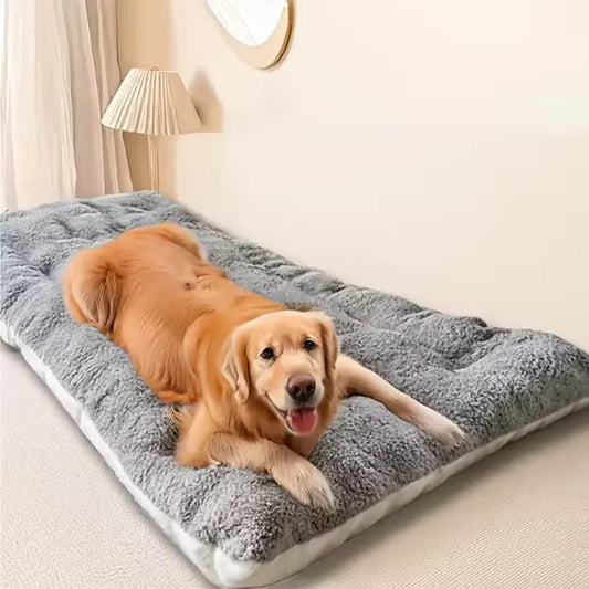 Cozy Haven Plush Dog Bed